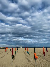 Nos prestations sur le secteur de Luneray 76810 en Normandie