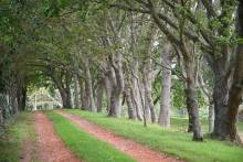 Nos prestations sur le secteur de Le Tréport 76470 en Normandie