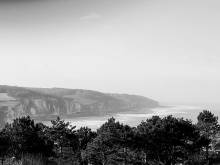 Nos prestations sur le secteur de Rouen 76000 en Normandie